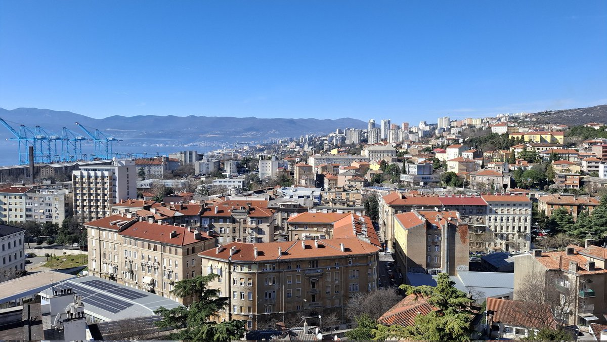 Robert Širola tweet media