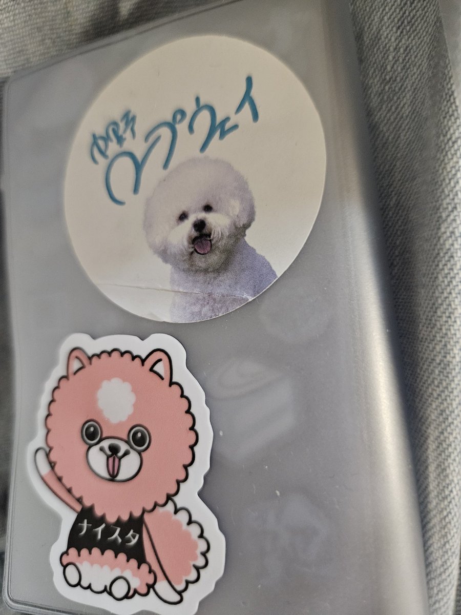 minami☆ tweet media