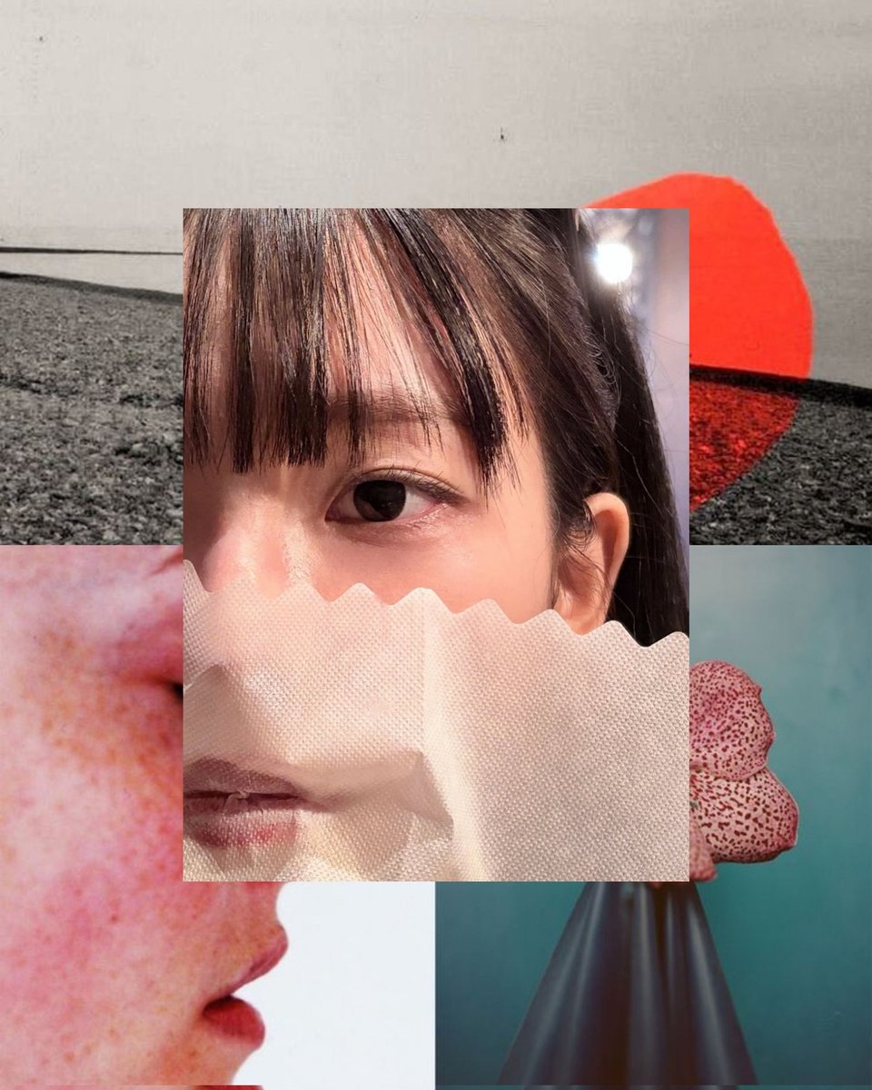 ͏͏͏͏͏͏͏͏ً tweet media