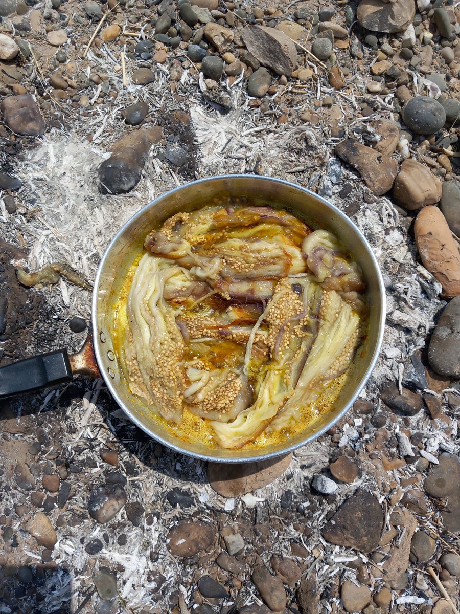 Ali Metila |🐉| tweet media