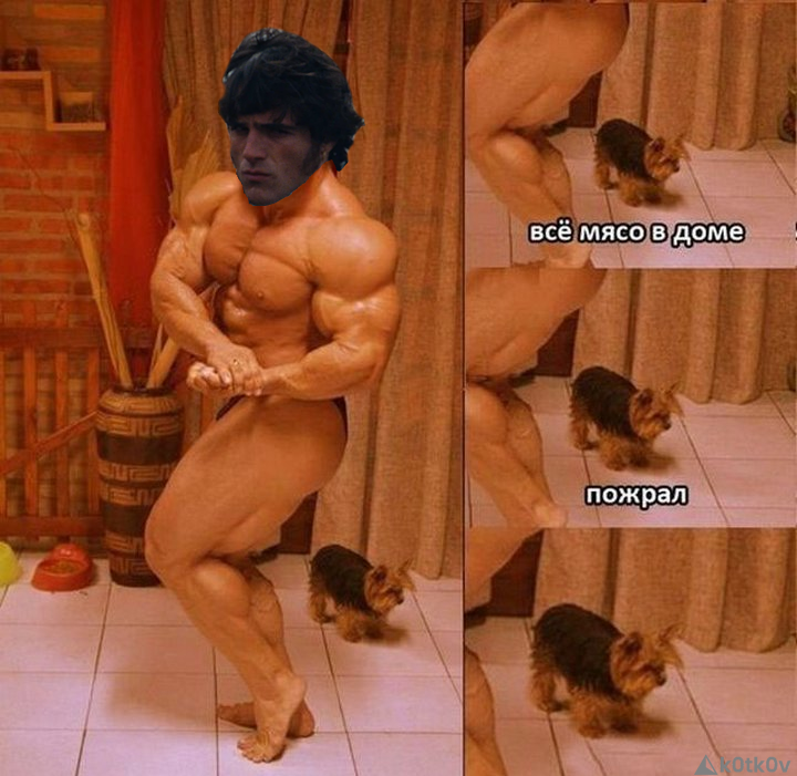 Kotkov Max tweet media