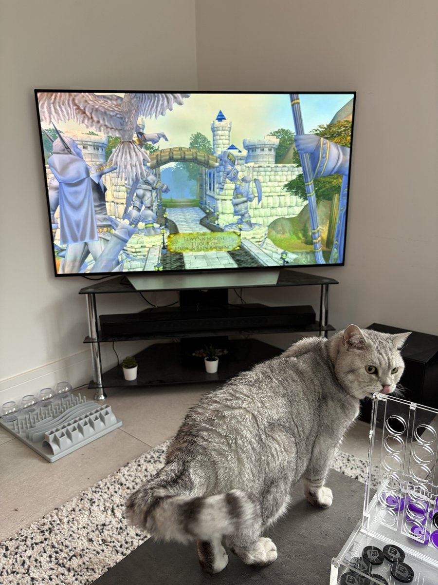 ONSCREEN tweet media