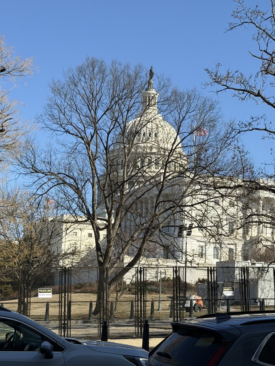 Seth Cohen tweet media