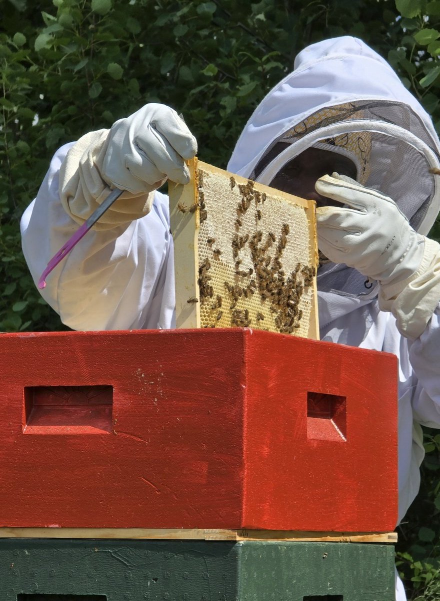 Christian Bagunda tweet media