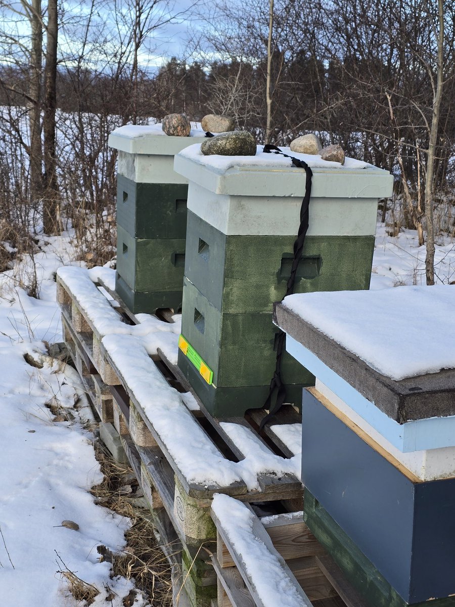 Christian Bagunda tweet media