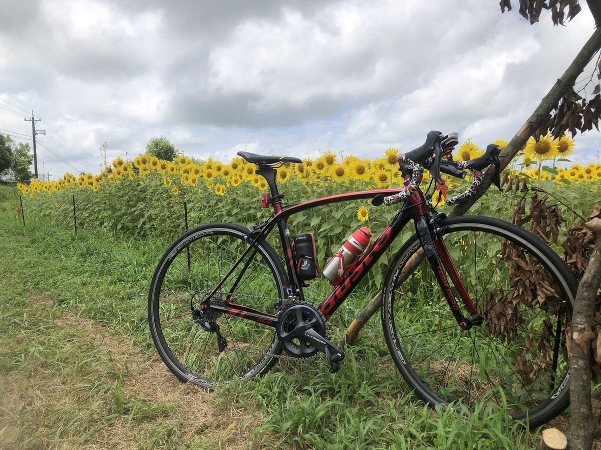 serfaiss's tweet image. #絶対今日撮っていないって分かる写真をあげる見た人も強制