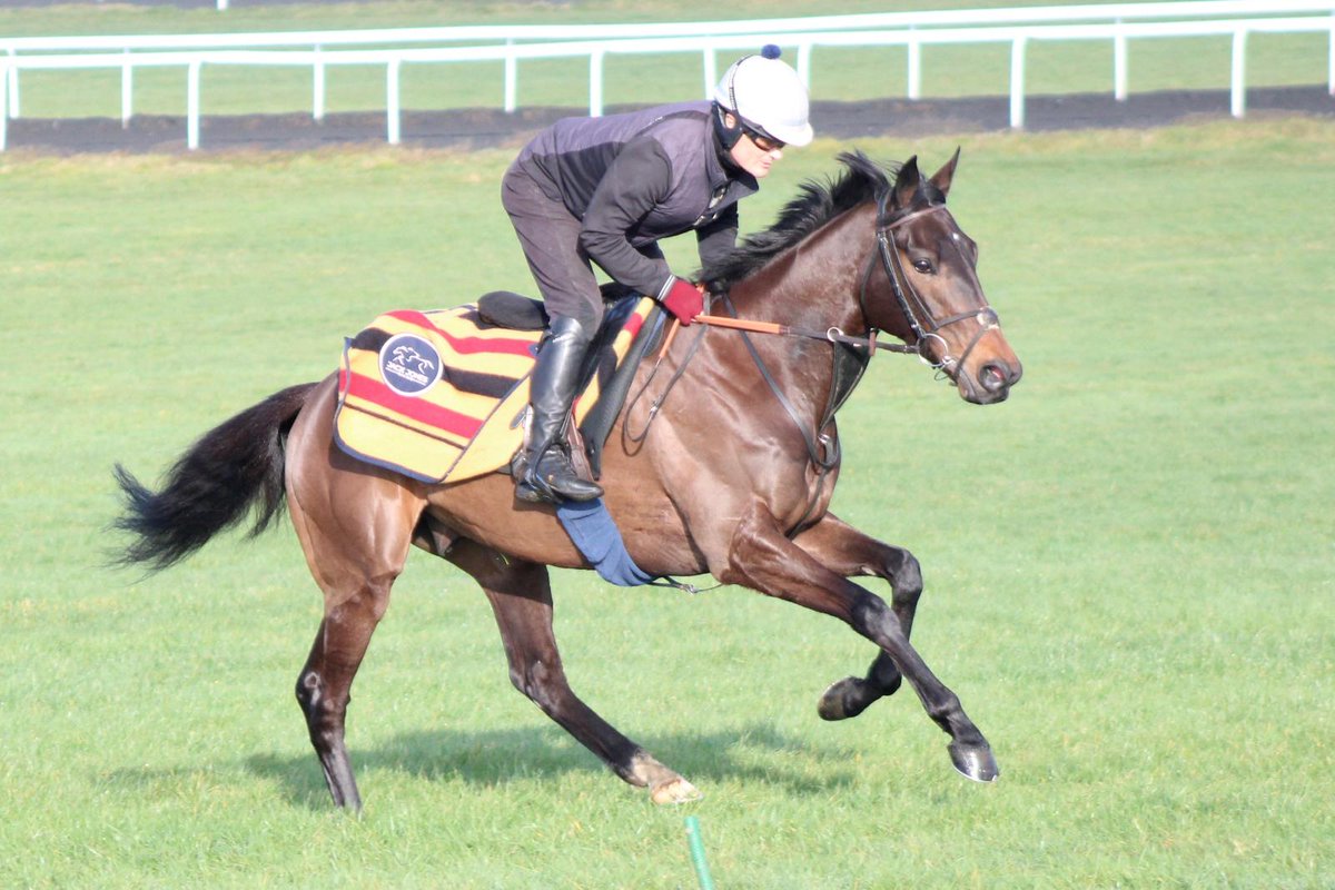 The Mammoth Pack tweet media