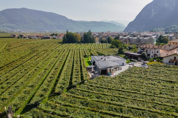 DoctorWine | Daniele Cernilli tweet media