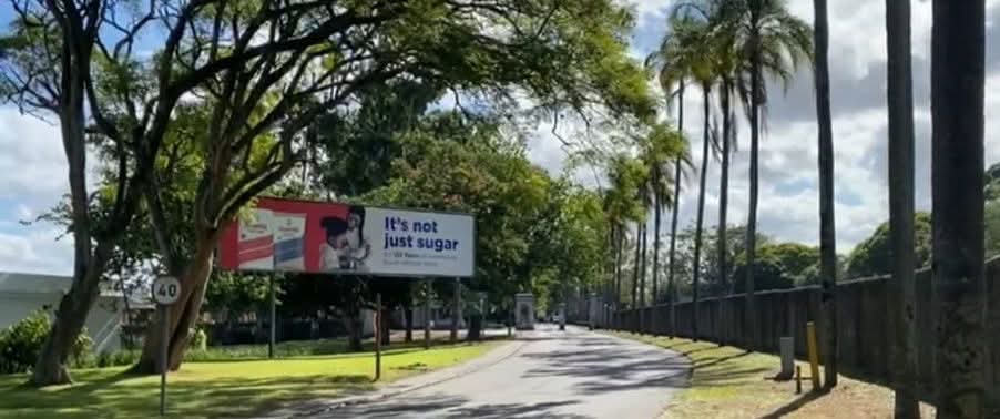 Jayed-Leigh Paulse tweet media