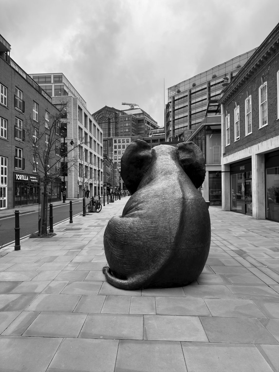 Alastair Hilton tweet media