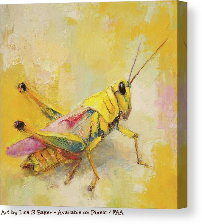 LisaSBaker444's tweet image. Golden Grasshopper, new insect art available: fineartamerica.com/featured/golde… 

#grasshopper #insect #bug #nature #golden #yellow #art #arte #artwork #wallart #homedecor #artforhome #artforsale #buyintoart #artprints #canvasprints #artistonx