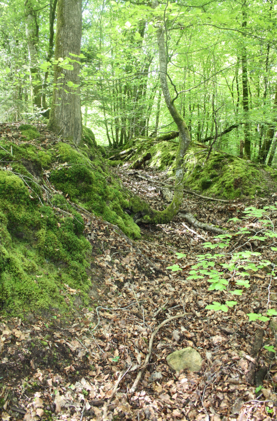 Discovering the frontline and beyond. tweet media