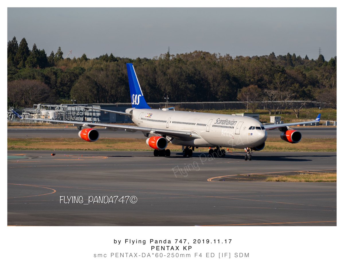 Flying_Panda747's tweet photo. 2019年11月成田で撮影した写真が、もう懐かしいと思ってしまう。
変化が早すぎる😢
#過去の写真から
#thorwbackthursday https://t.co/tV3N5MBd37