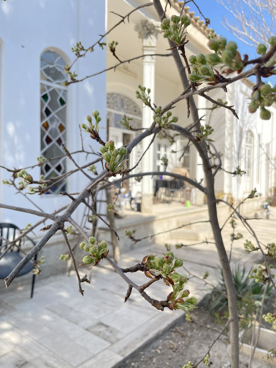 jane shifteh tweet media