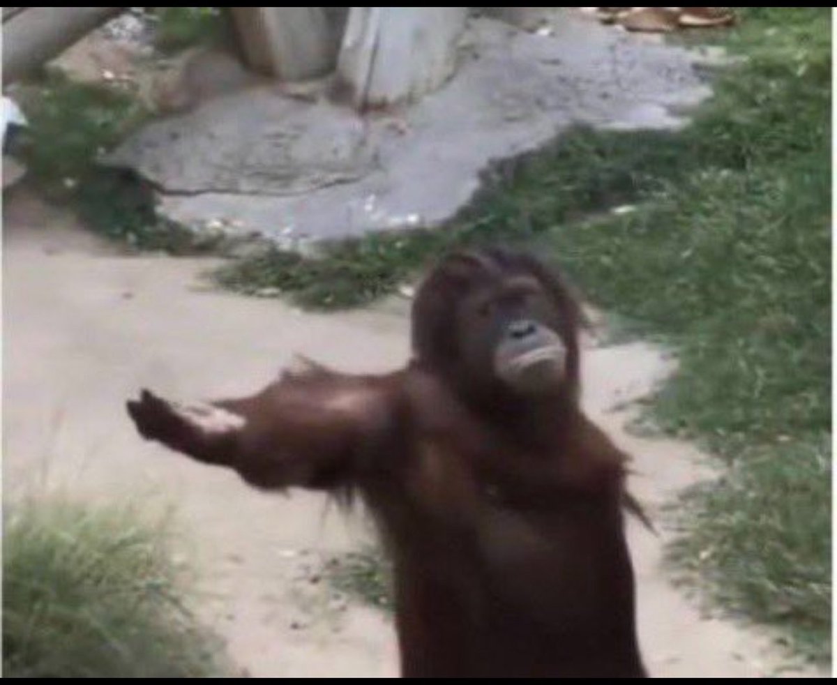 Meme King tweet media