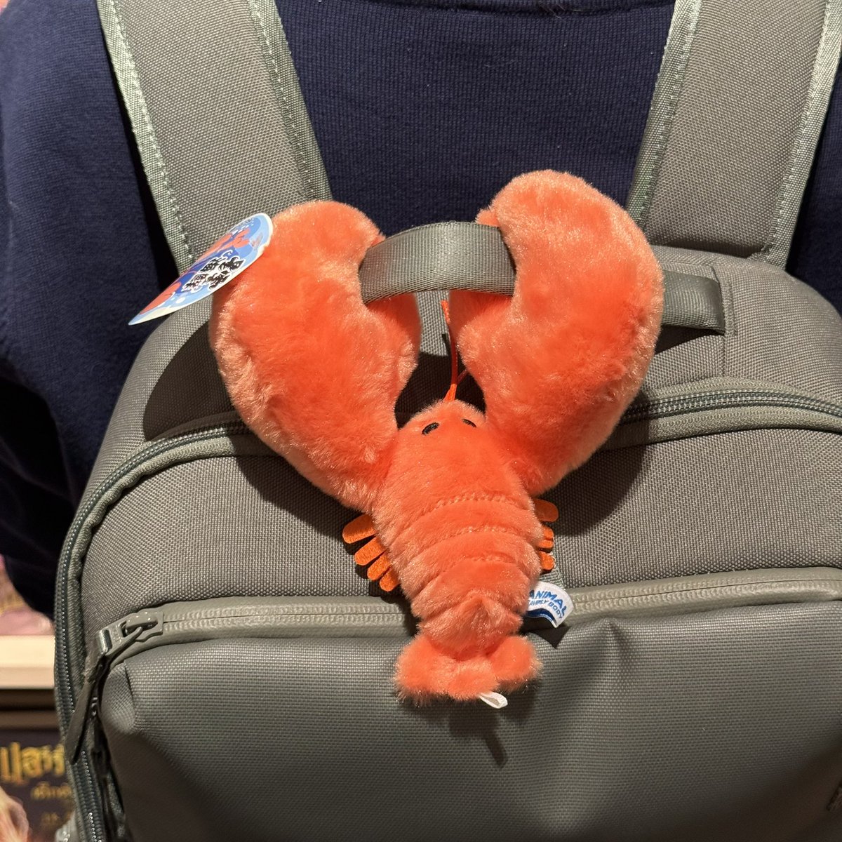 ก้ามน้องงับสายต่าง ๆ ได้ด้วยน้า 🦞