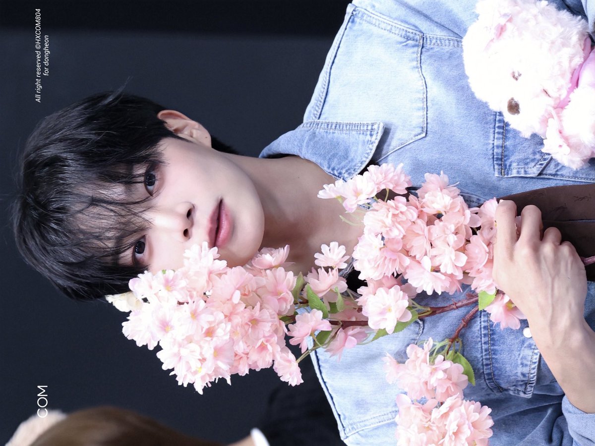 콤이.. tweet media