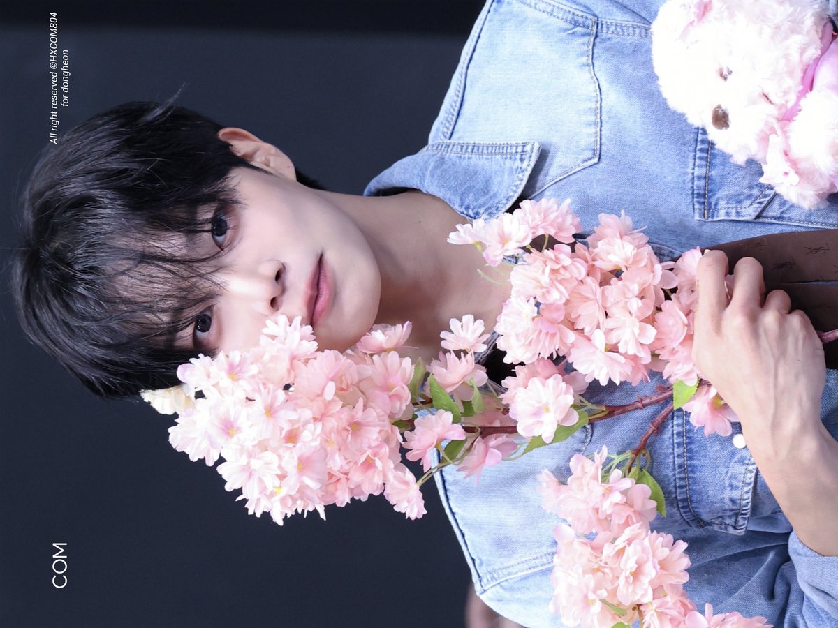 콤이.. tweet media