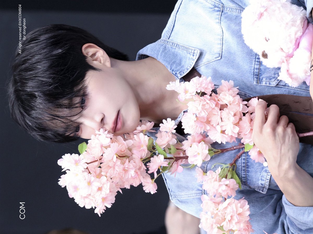 콤이.. tweet media