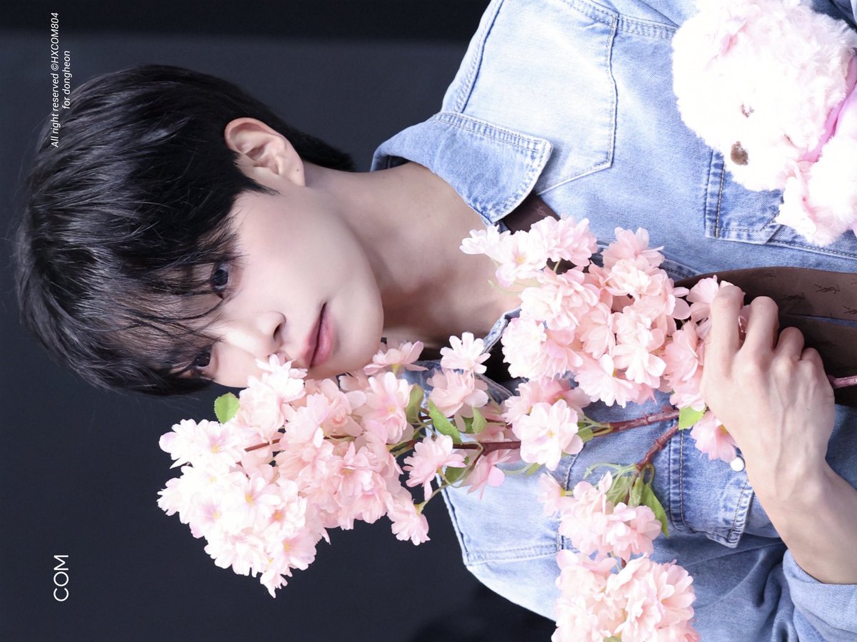 콤이.. tweet media