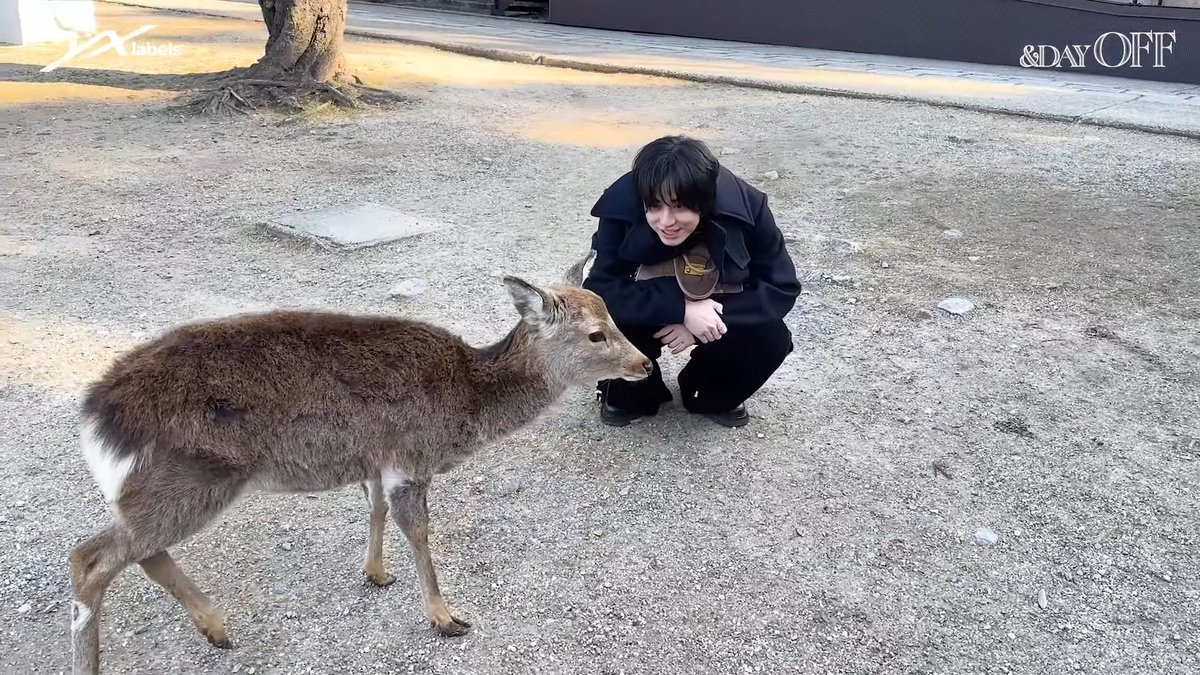 BRO RUN THAT GUY'S A WOLF