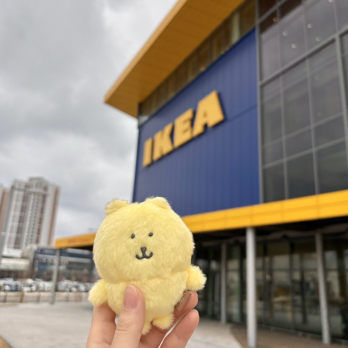 헤헹(૭ ᐕ)૭ tweet media