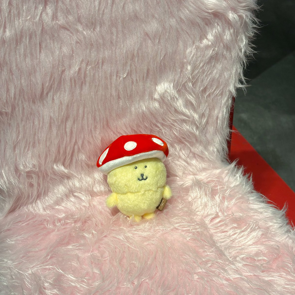 헤헹(૭ ᐕ)૭ tweet media