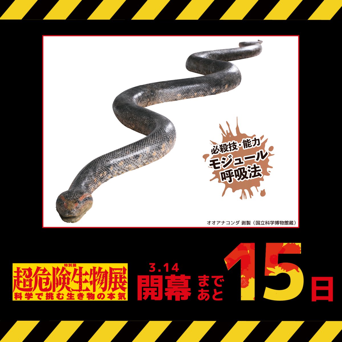 【公式】超危険生物展 tweet media