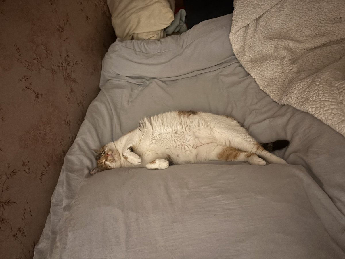 Elle est dure la vie