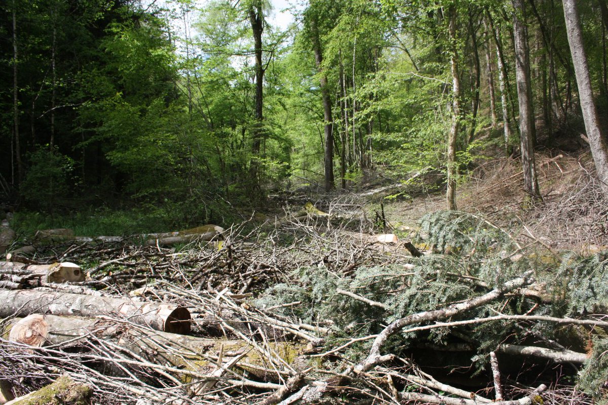 Discovering the frontline and beyond. tweet media