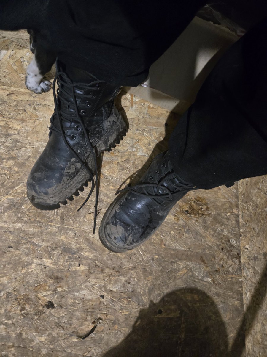 Anny Williams tweet media