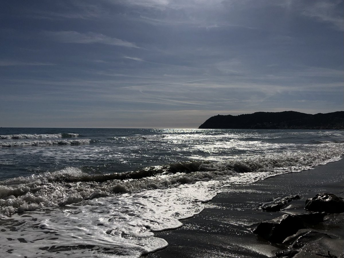 MassimoBadano's tweet photo. In Liguria tutto è possibile . Buon pranzo https://t.co/dcoBDeGPkH