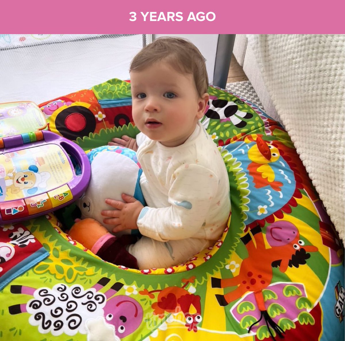 Shayne Ward Army tweet media