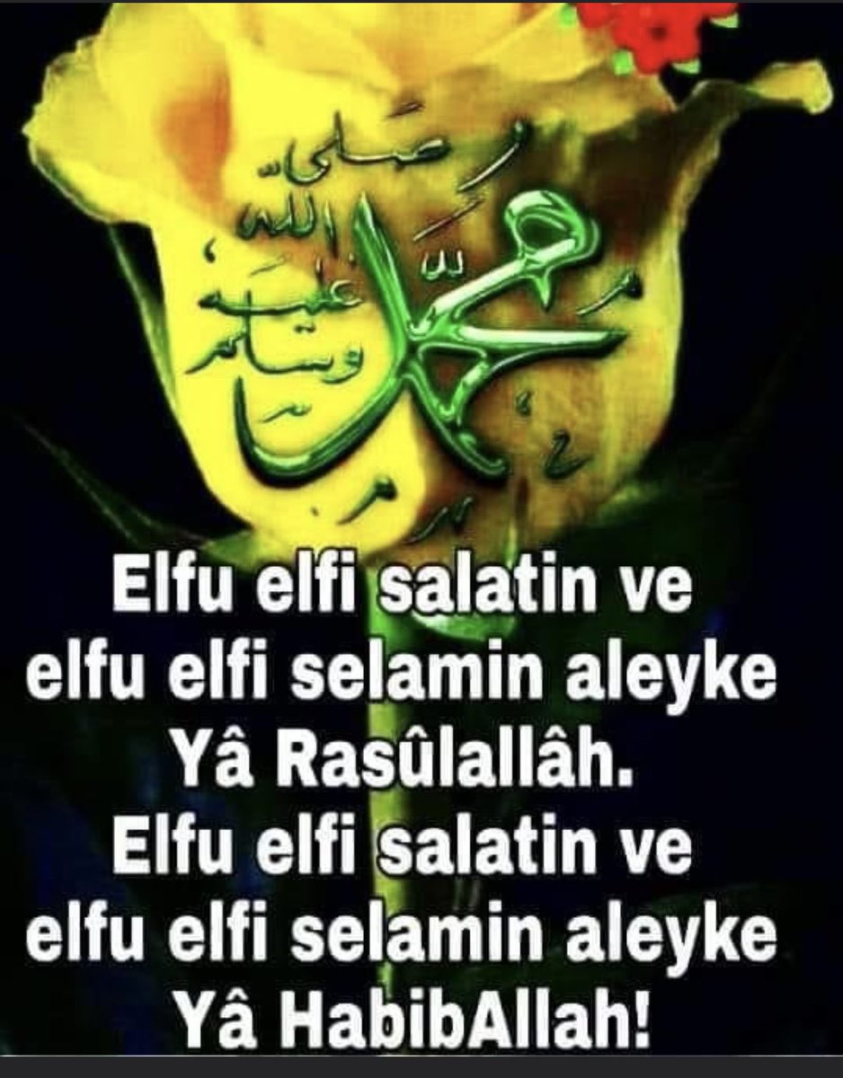 HALİT YILDIZ (@halit_yildiz63) on Twitter photo 