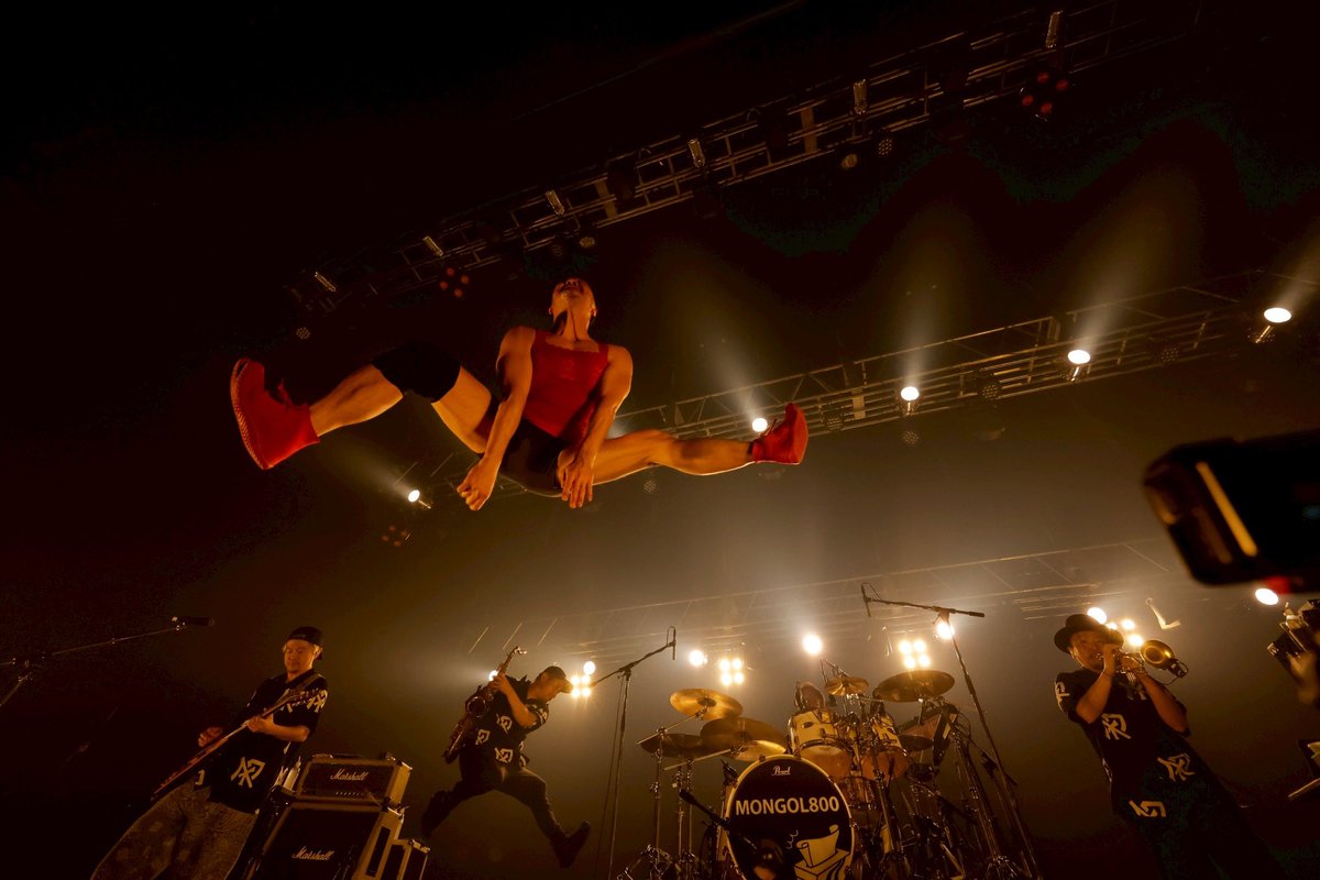 MONGOL800_info tweet media