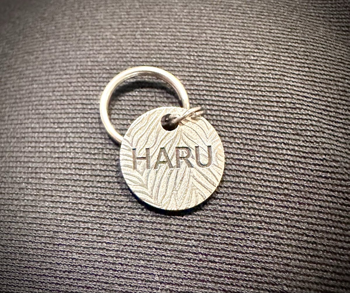AmanoCyuan's tweet photo. #HARU https://t.co/nQ0Zd74A69