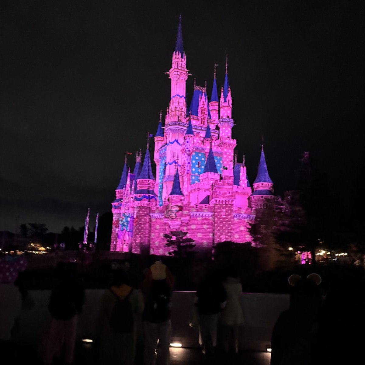 Dハロではなくフォロワーともディズニー行きたい