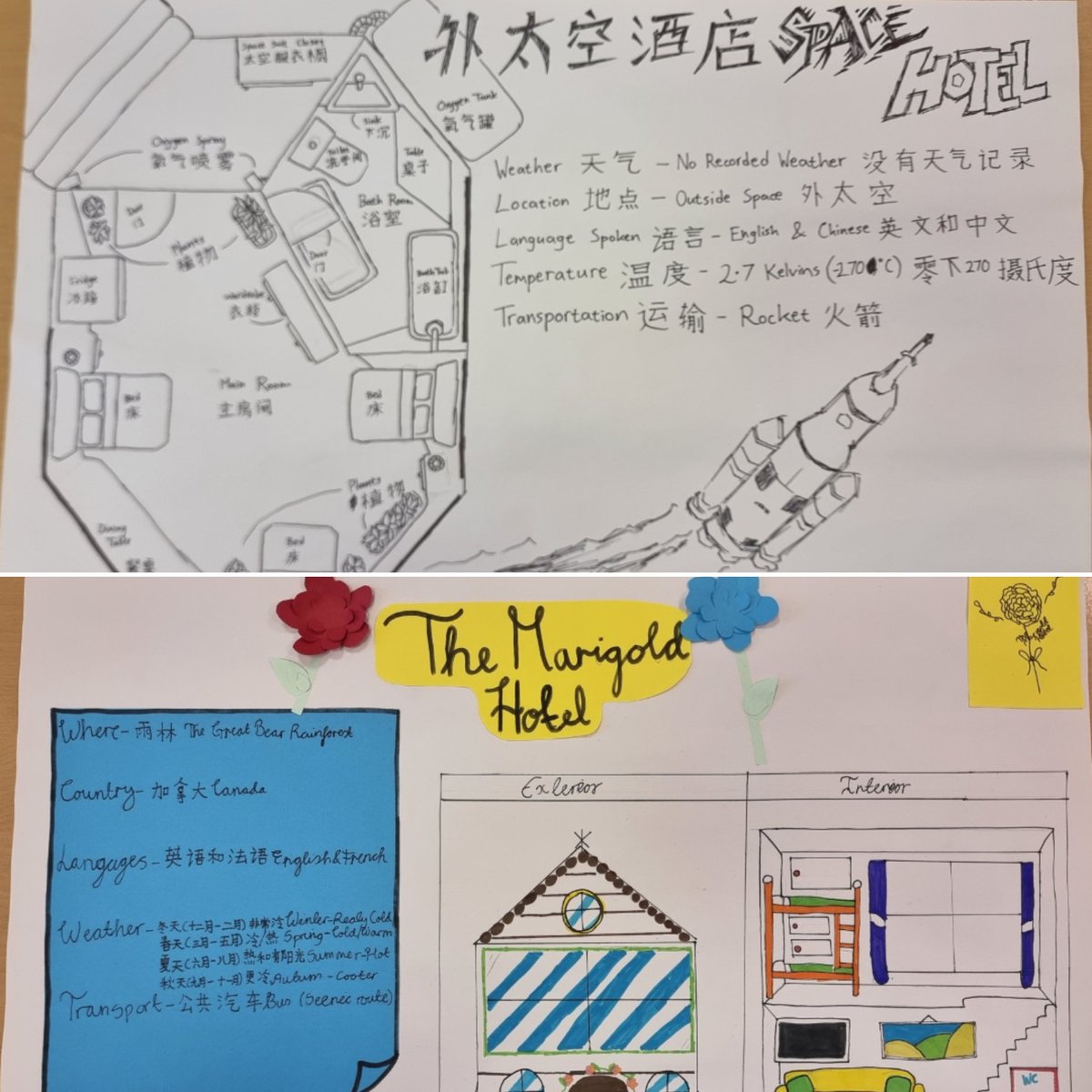 Mrs Wang 王老师 tweet media