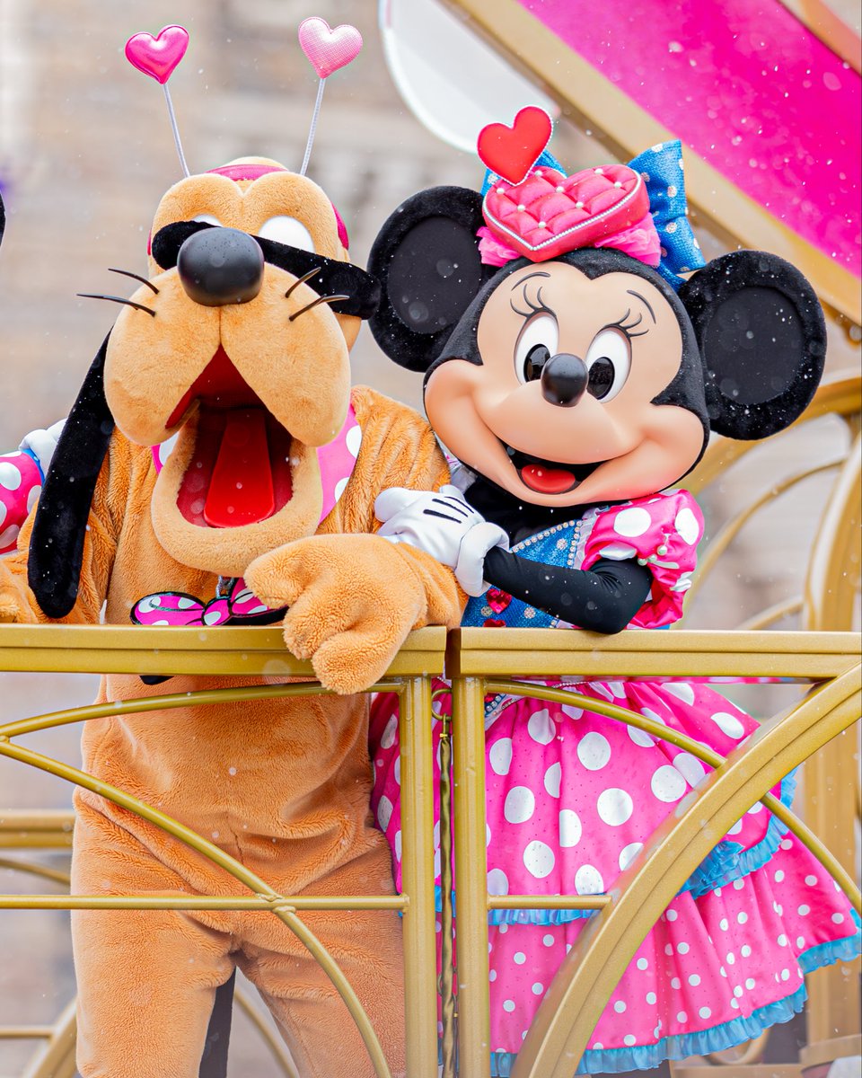 ミニーとプルート容疑者🎀🐾