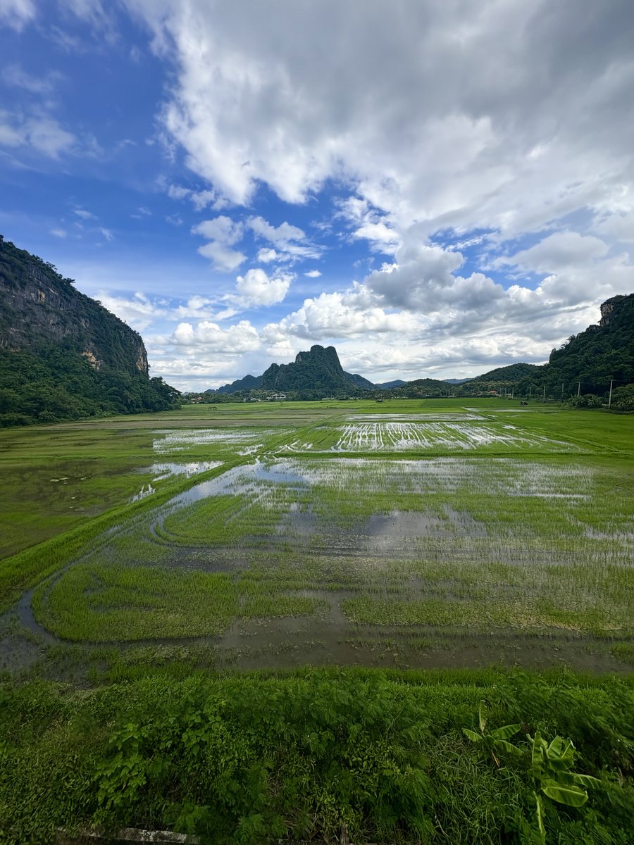 Joshua Snitgen tweet media