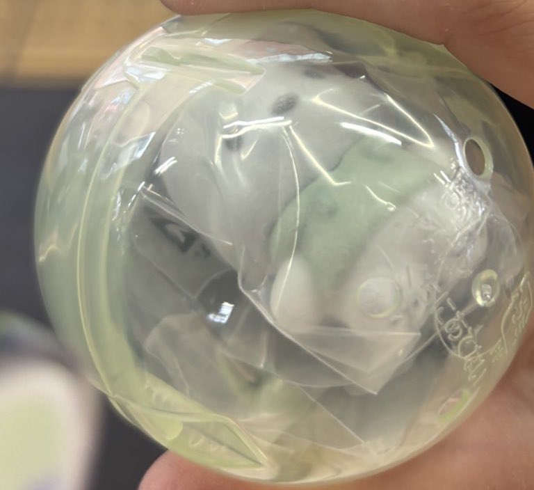 66☁️ tweet media