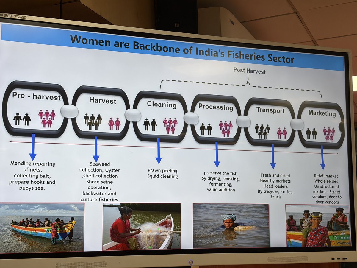 Soumya Swaminathan tweet media