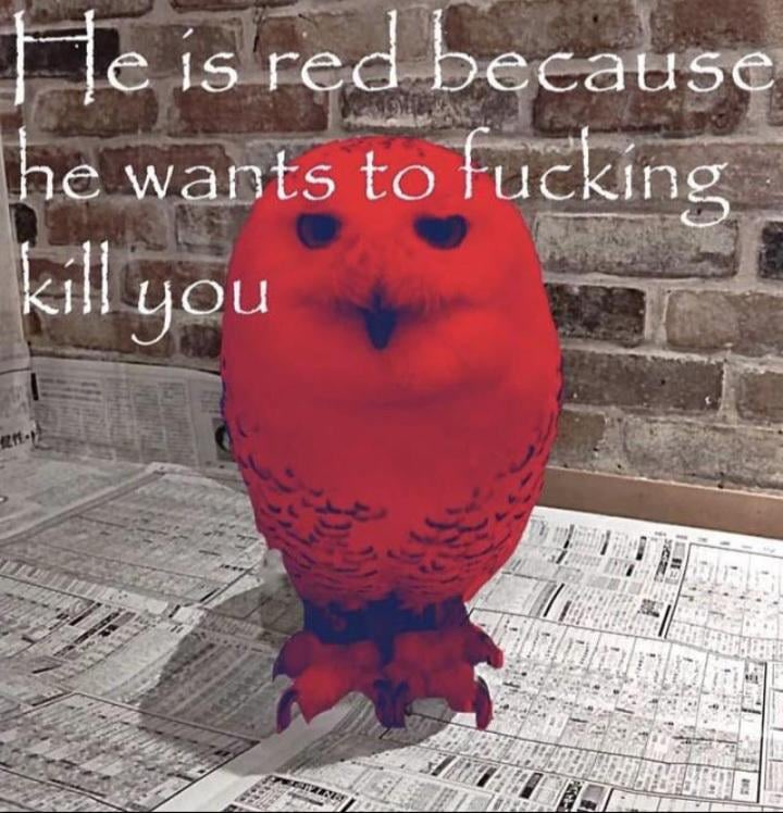 <a href="/_batbytes_/">BYTE 👾👑</a> It’s not a dog but I love this one