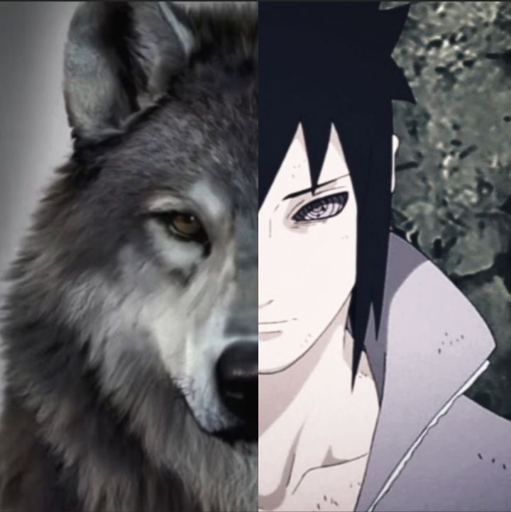 𝐒𝐚𝐬𝐮𝐤𝐞. tweet media