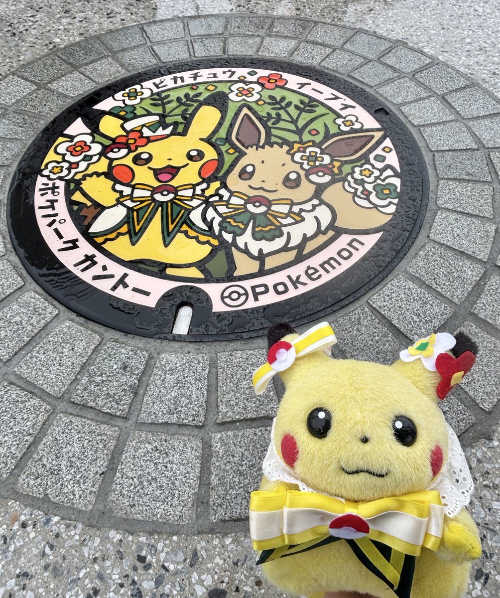 ポケパークカントー の #ポケふた ゲットだぜ🎖️🌼 #ポケぬい #初期