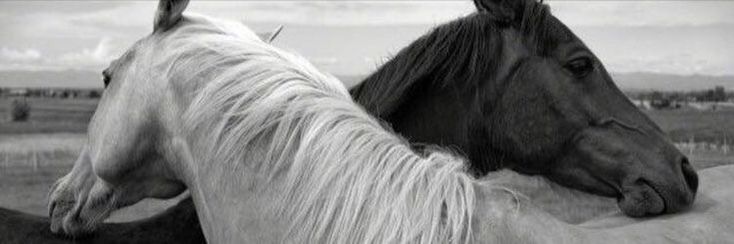 Patience in a moment of anger obviates a thousand moments of endless regrets.