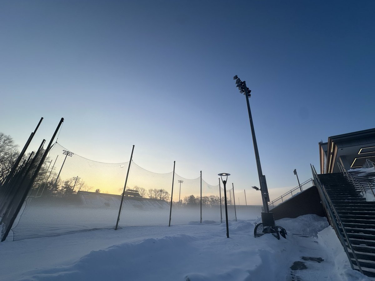 Montaner Fresilli tweet media