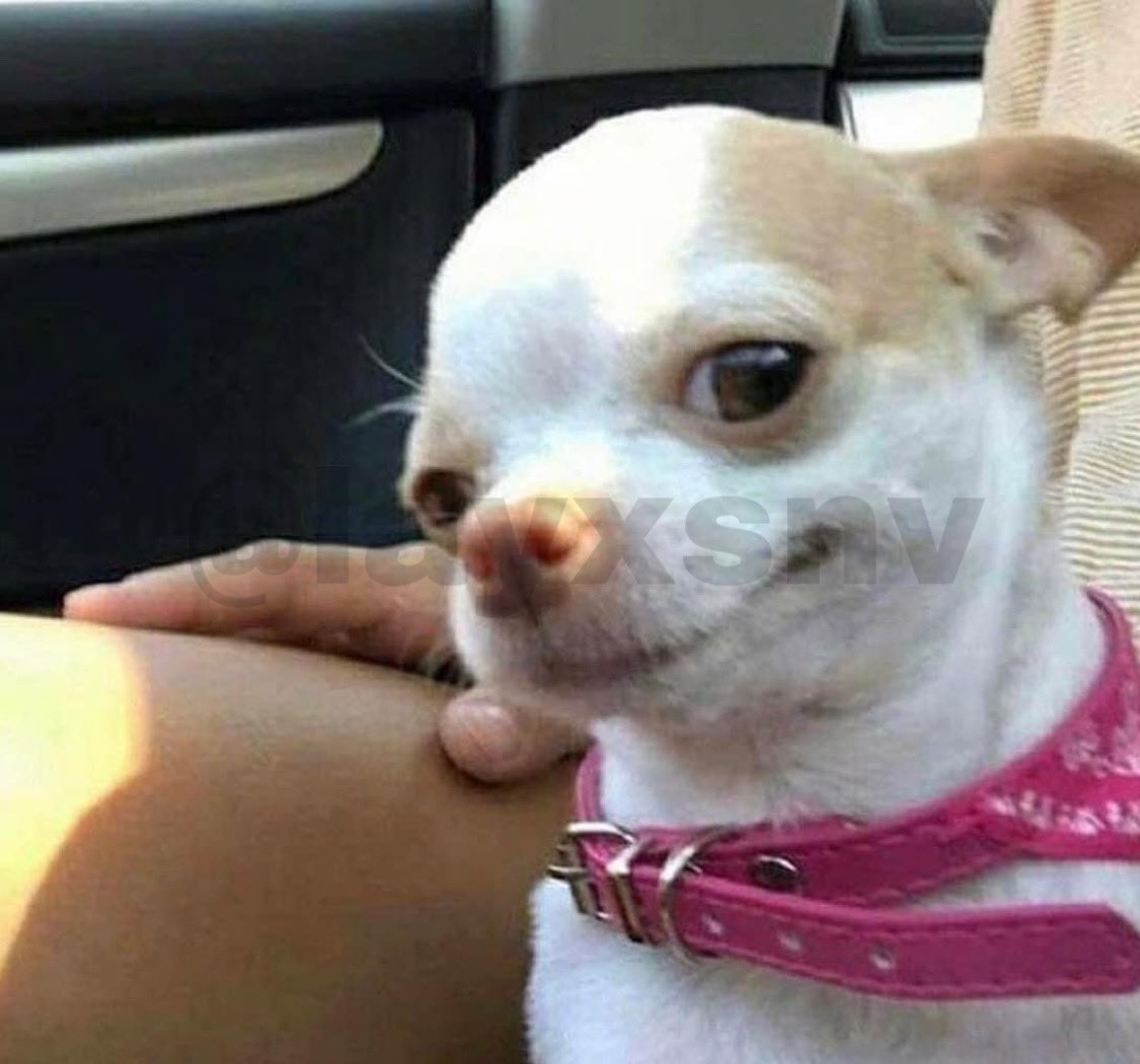 On pourra l'avoir sur ACC <a href="/AC_assettocorsa/">Assetto Corsa</a>