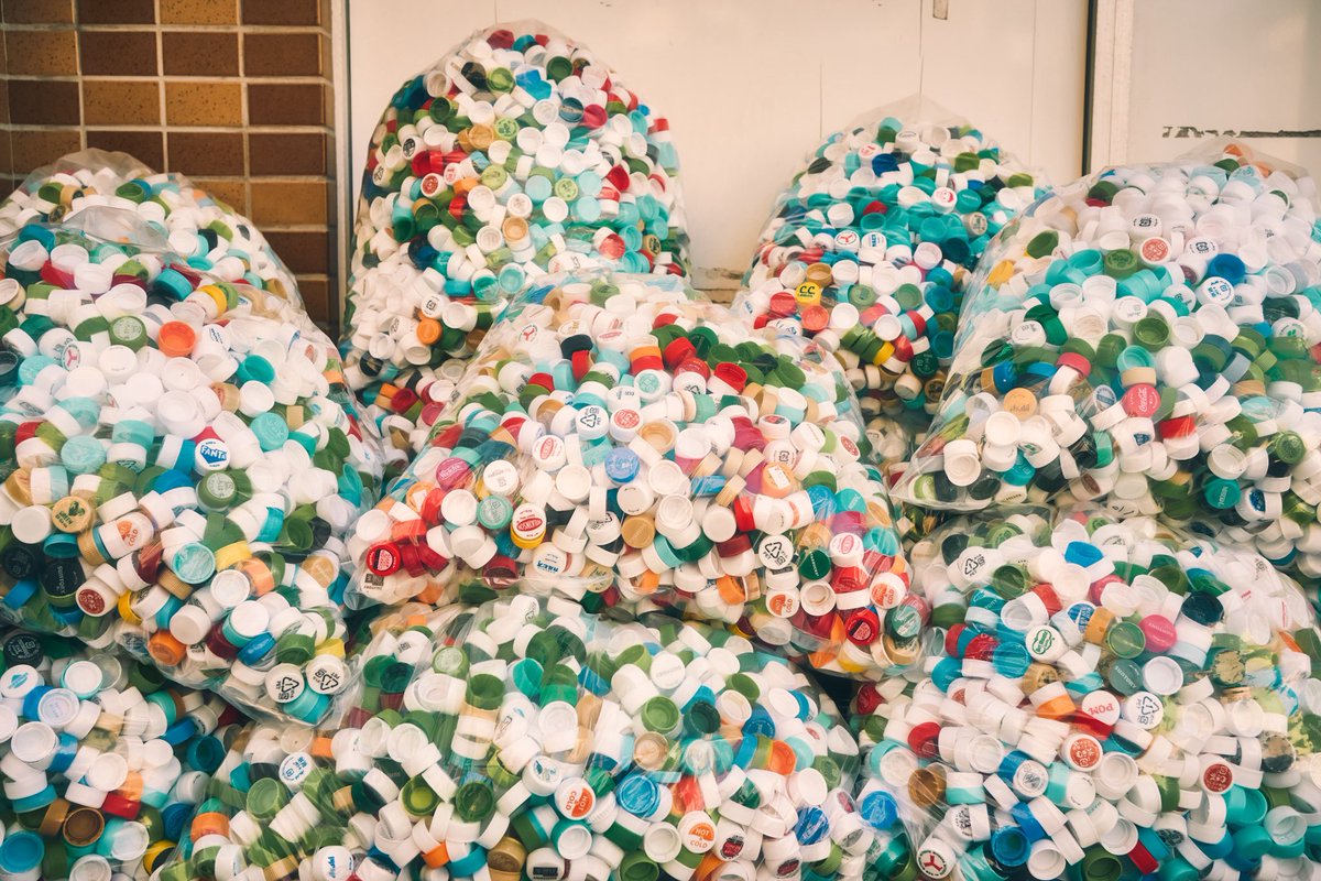 p_tosanokoji's tweet photo. 写真 https://t.co/7fIYXgpChi