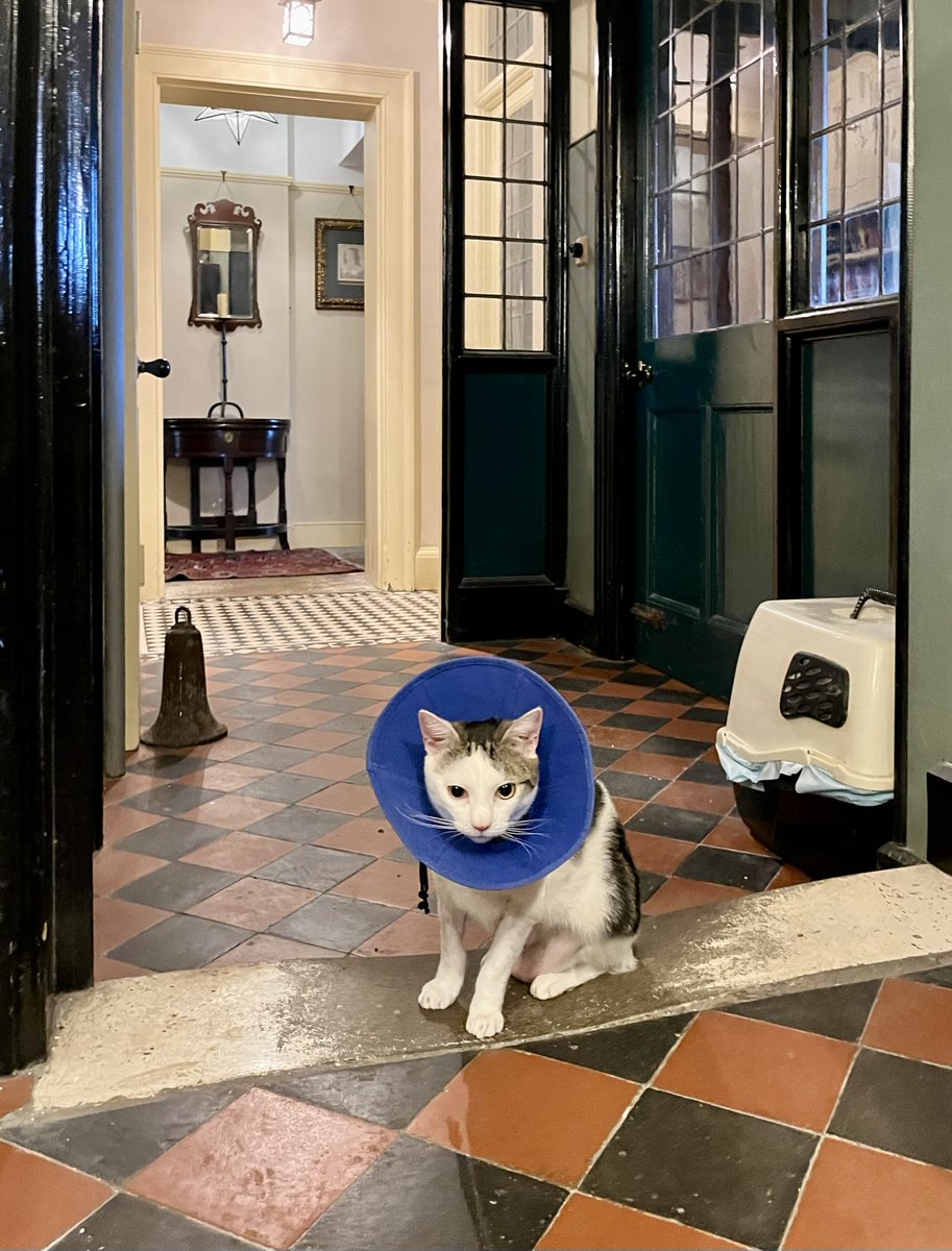 Barendina Smedley tweet media